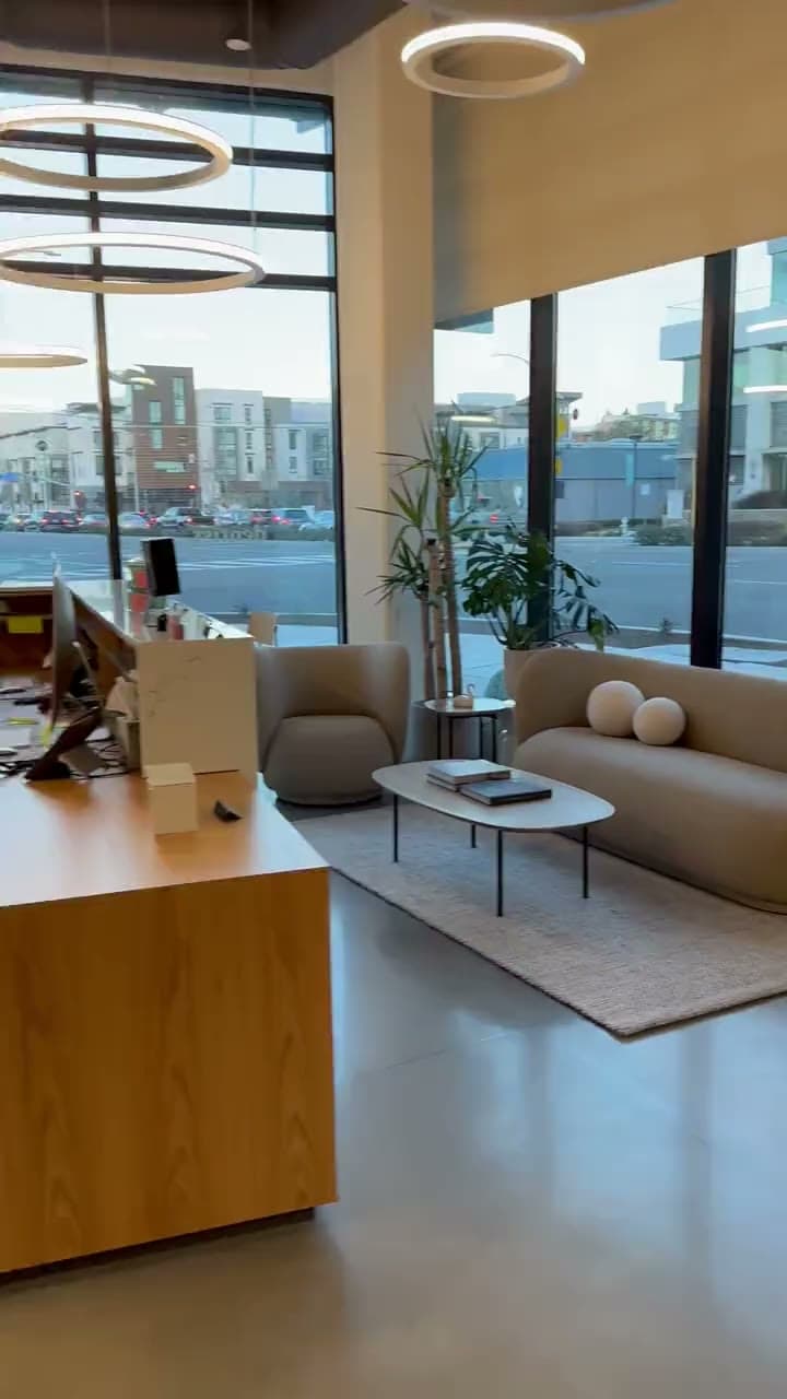 The lounge at the Mountain View studio, with a sculpted sofa, oak shelving, greenery, and daylight from the street windows